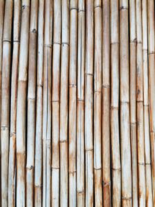 Dry Bamboo