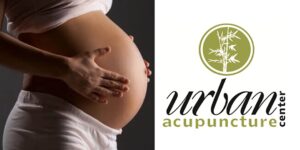 pregnant belly with the urban acupuncture logo to the right